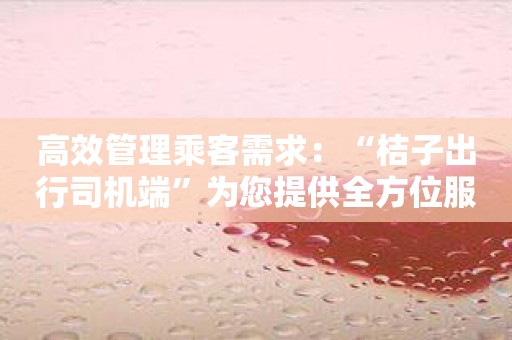高效管理乘客需求：“桔子出行司机端”为您提供全方位服务