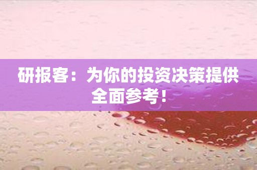 研报客：为你的投资决策提供全面参考！