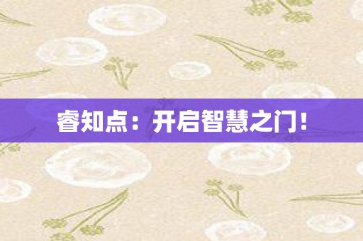 睿知点：开启智慧之门！