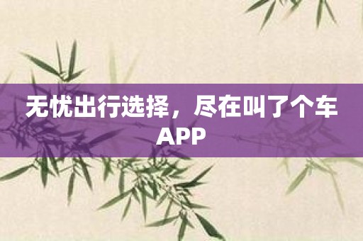 无忧出行选择，尽在叫了个车APP
