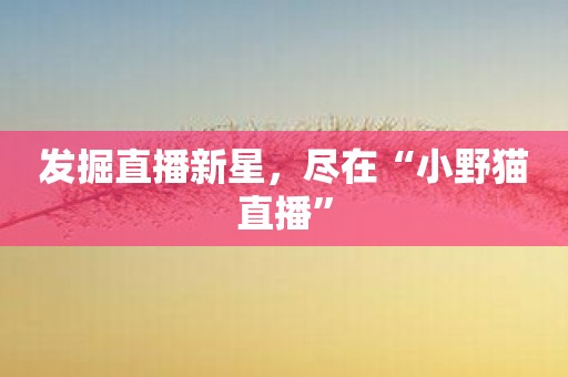 发掘直播新星，尽在“小野猫直播”