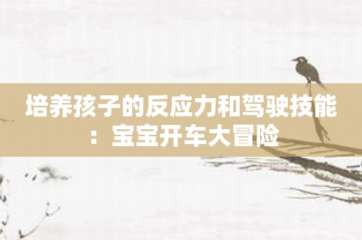 培养孩子的反应力和驾驶技能：宝宝开车大冒险
