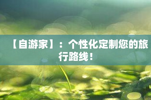 【自游家】：个性化定制您的旅行路线！
