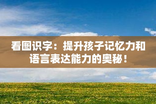 看图识字：提升孩子记忆力和语言表达能力的奥秘！