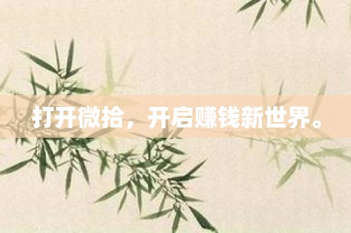 打开微拾，开启赚钱新世界。