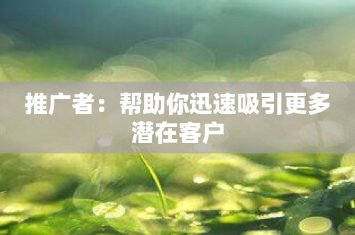 推广者：帮助你迅速吸引更多潜在客户