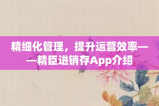 精细化管理，提升运营效率——精臣进销存App介绍