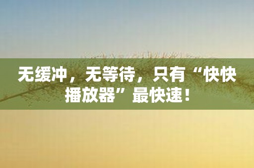 无缓冲，无等待，只有“快快播放器”最快速！