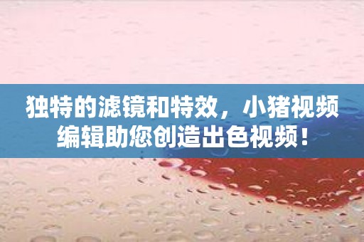 独特的滤镜和特效，小猪视频编辑助您创造出色视频！