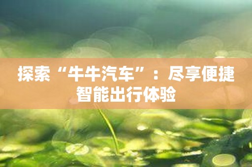探索“牛牛汽车”：尽享便捷智能出行体验