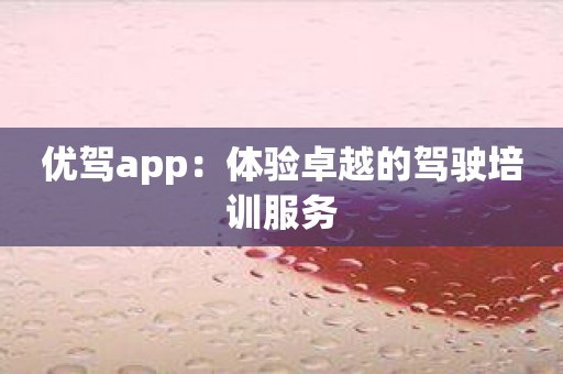 优驾app：体验卓越的驾驶培训服务