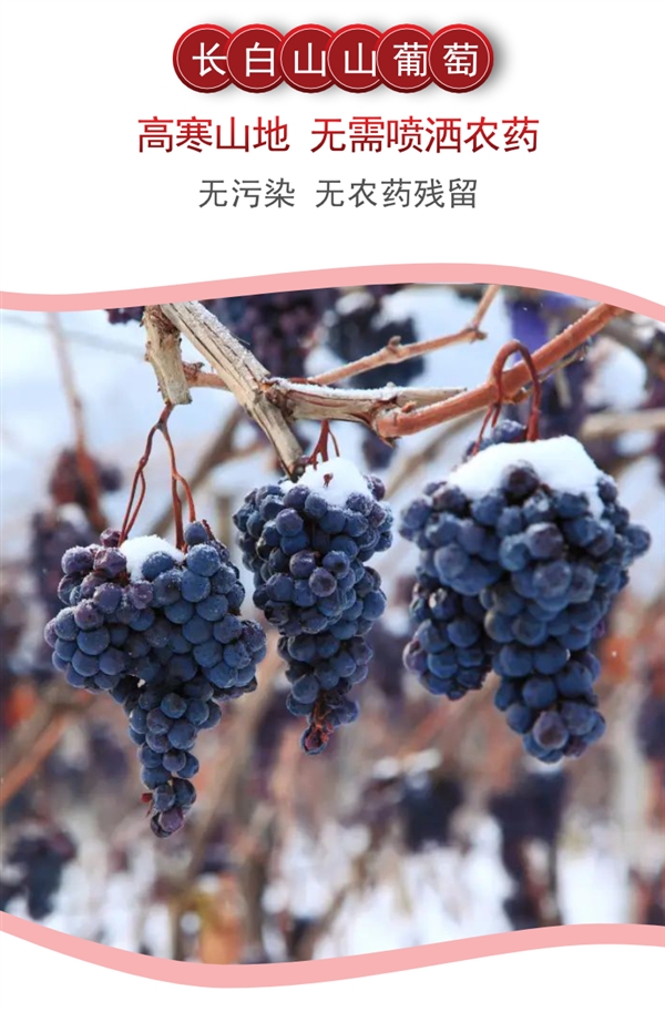 不加一滴水、无农药：白马浪100% NFC葡萄汁14.8元/L大促