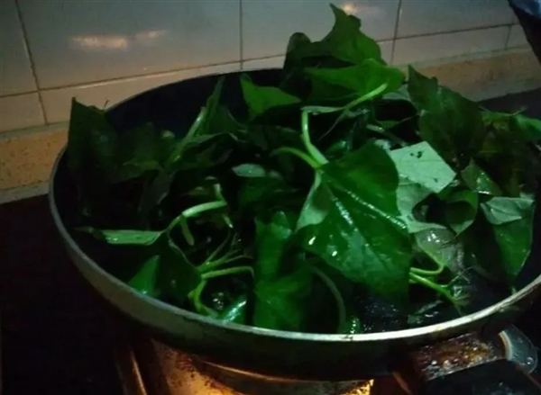 亩产可达8000斤 浑身都是宝：红薯为什么没能成为主食