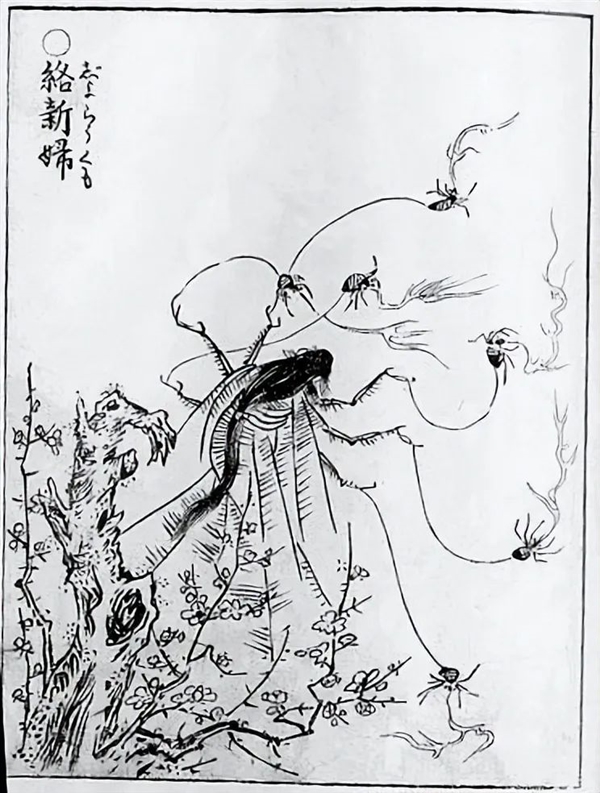 巴掌大蜘蛛入侵美国！明明亚洲都有分布：为何宣称来自中国