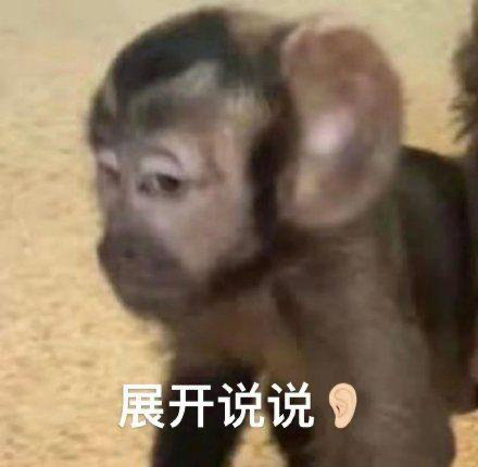 年轻人不想当人：把猴子“吗喽”捧上神坛