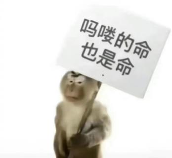年轻人不想当人：把猴子“吗喽”捧上神坛