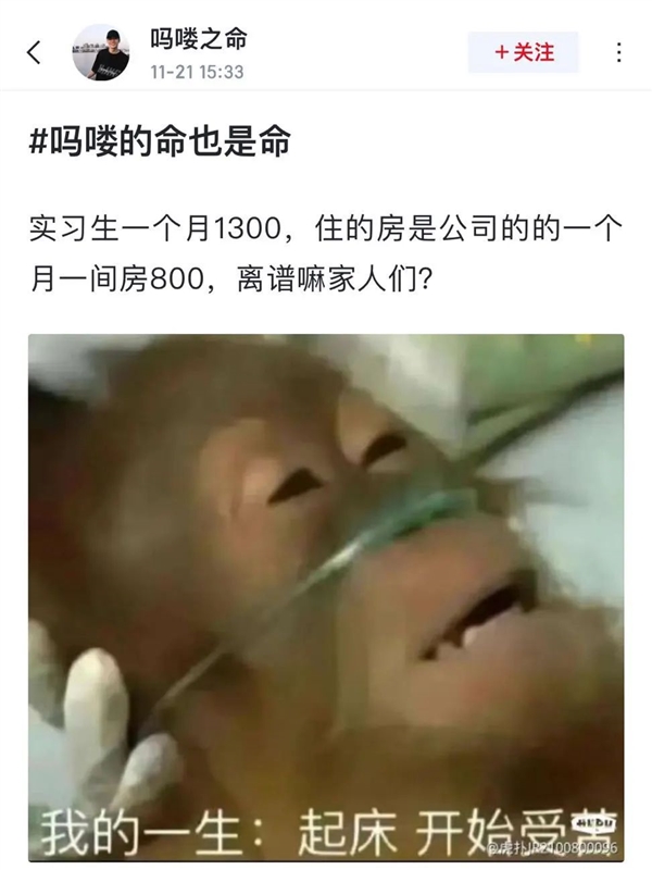 年轻人不想当人：把猴子“吗喽”捧上神坛