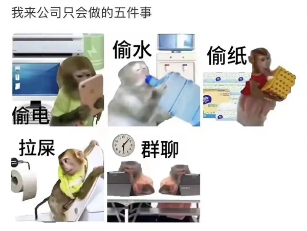 年轻人不想当人：把猴子“吗喽”捧上神坛
