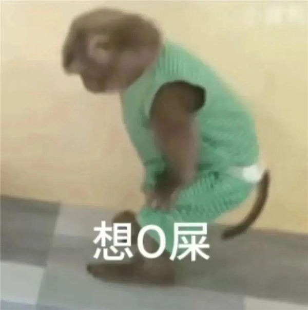年轻人不想当人：把猴子“吗喽”捧上神坛
