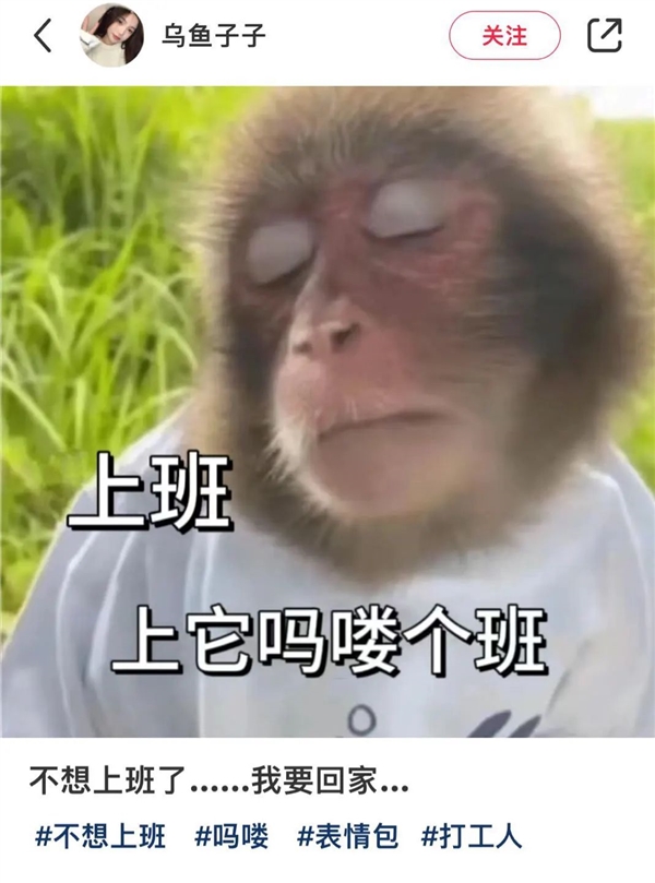 年轻人不想当人：把猴子“吗喽”捧上神坛