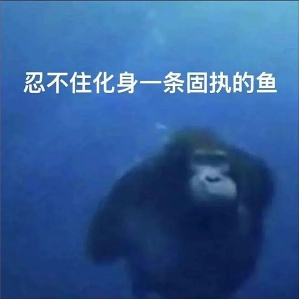 年轻人不想当人：把猴子“吗喽”捧上神坛