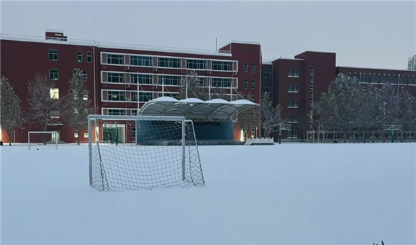 降雪能冻死病毒吗