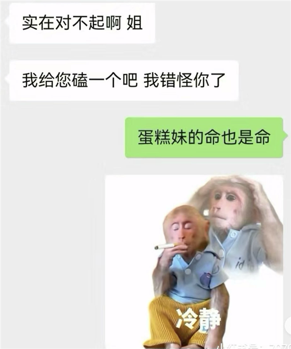 年轻人不想当人：把猴子“吗喽”捧上神坛