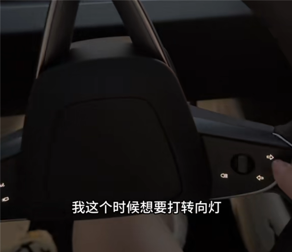 女车主吐槽新Model 3转向灯反人类设计：打把方向就分不清左右了