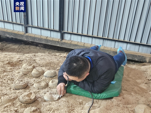 全球罕见！湖北首次发现3枚结晶恐龙蛋化石：内部闪闪发光