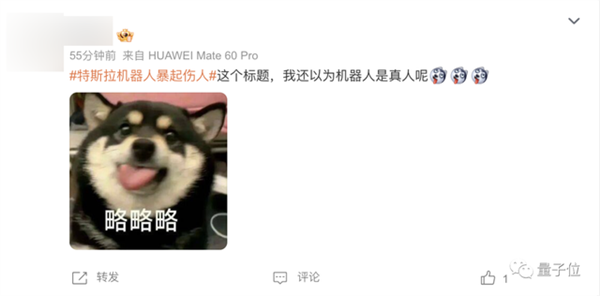 机器人袭击人类 特斯拉瞒报不发吗 马斯克回应了