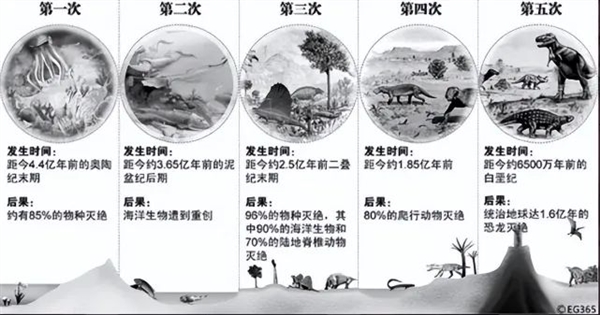 最让人绝望的解释：史上最严重的物种大灭绝只是因为一次基因转移