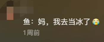 北方人被哈尔滨背刺了 为了南方游客：豆腐脑都整成甜的了！
