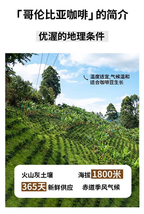 午后来一口！Nevercoffee即饮咖啡大促：券后0.99元起/盒