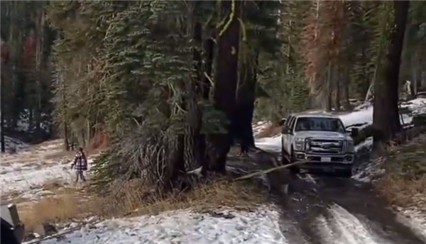 特斯拉Cybertruck雪地陷车：丰田皮卡成功救援