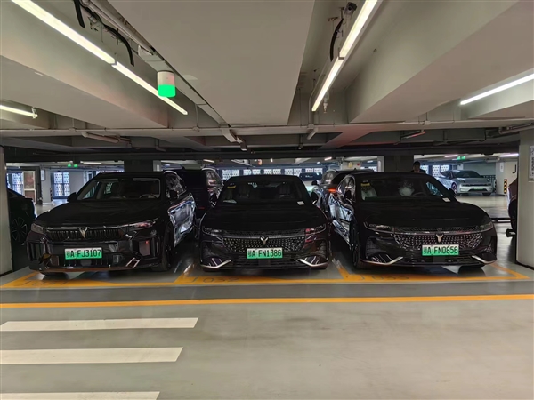 同级唯一百万级魔毯悬架、最长262km纯电续航！岚图追光PHEV试驾