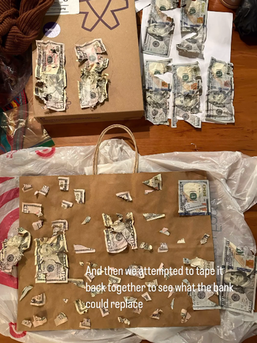 狗子吃掉2万现金后又拉了出来 主人只能屎里淘金
