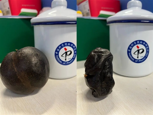尔滨冻梨又黑又甜 为啥你冰箱冻出来的是坏的