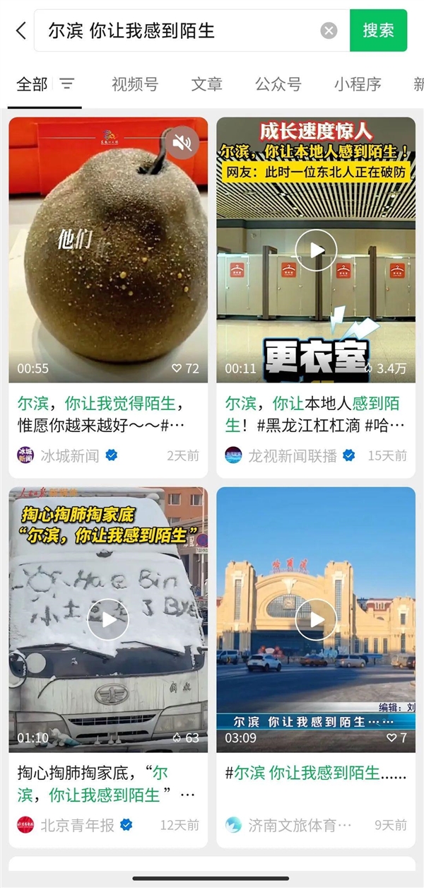 拆家大户、不太聪明的哈士奇 怎么到了哈尔滨就让人感到那么陌生