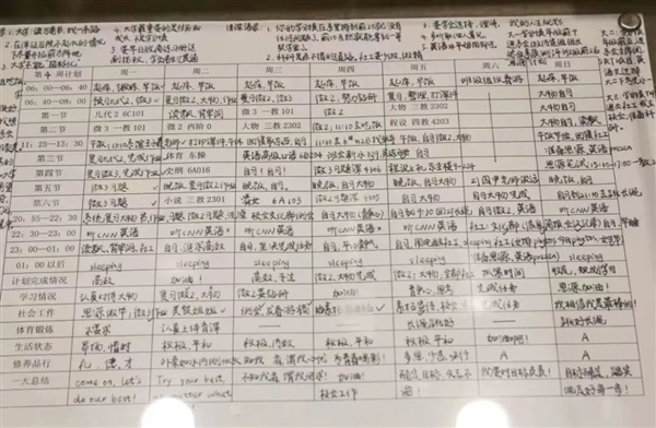 曾以最牛学习计划表火遍全网 清华特奖、双胞胎姐妹双双回国任教