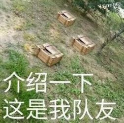 80家4S店一夜倒闭：竟然有车企进去抢车