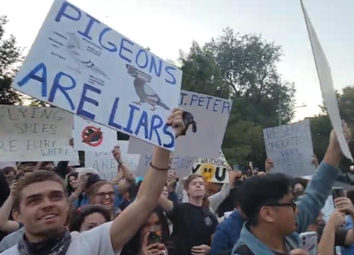 美国如何用鸽子搞暗杀：有网友把这个脑洞做出来了！