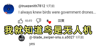 美国如何用鸽子搞暗杀：有网友把这个脑洞做出来了！