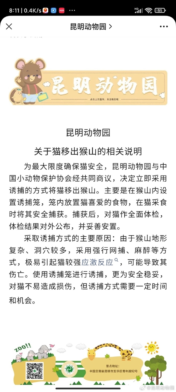 昆明动物园回应“猴子虐猫”：将设诱捕笼移猫出猴山 10余年来猴群与猫相处融洽