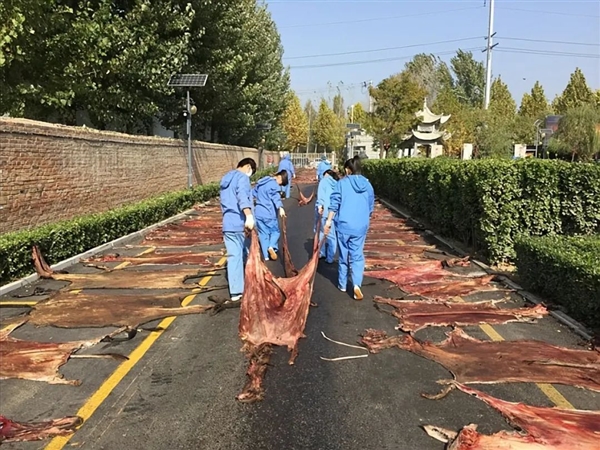 驴肉好吃 驴皮可以做阿胶 为什么不大范围养驴呢