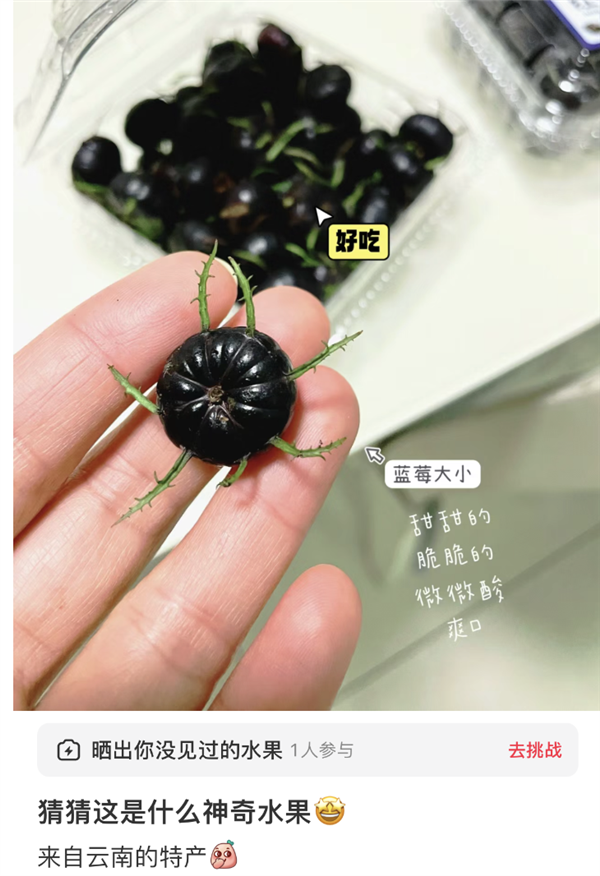 这种突然走红、长得像蜘蛛的神奇水果：到底好吃吗