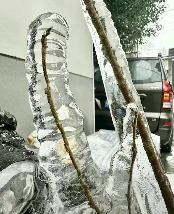 看看冻雨的可怕威力！武汉一居民家阳台成“冰雪世界”：这些地方还要下
