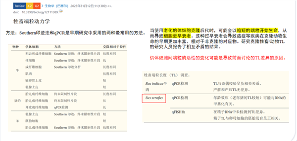 20万就能克隆你的宠物：但是 真相太丧心病狂了