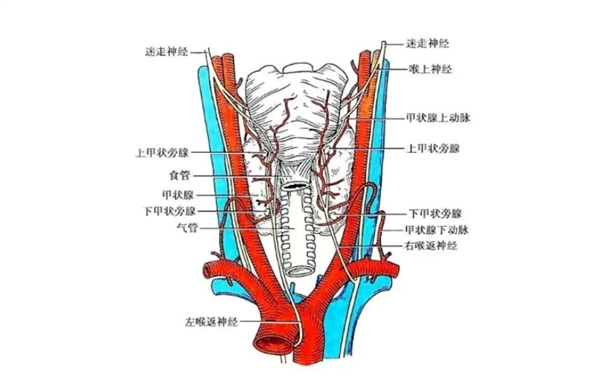 女生唱歌突然跑调查出恶性肿瘤：已成功切除恢复