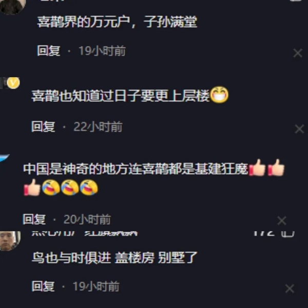 动物界建筑大师！两喜鹊搭出4层别墅：像一串糖葫芦