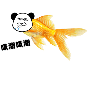 小蝌蚪找妈妈表情包